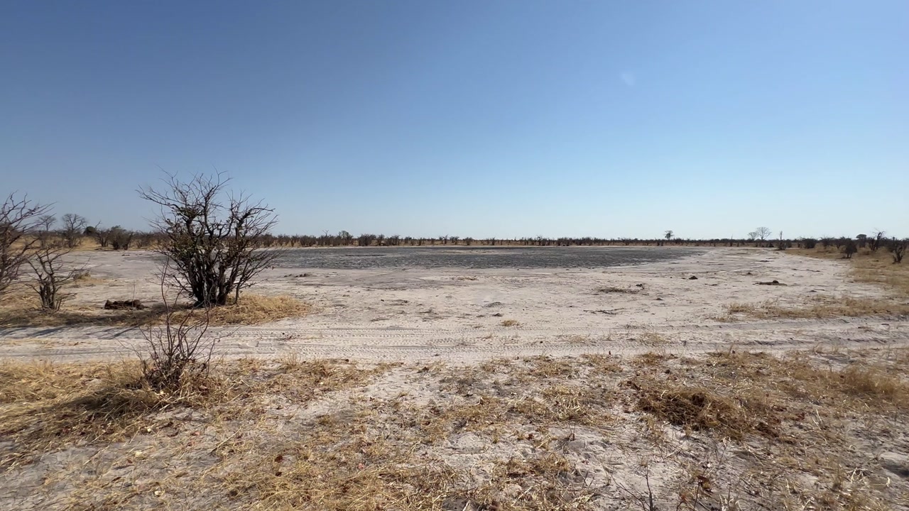 Dry water hole in Okavango Delta, Botswana.
