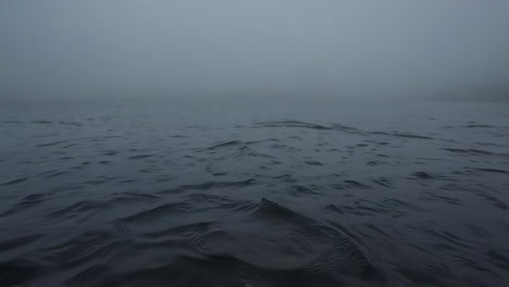 mysterious creature in foggy water