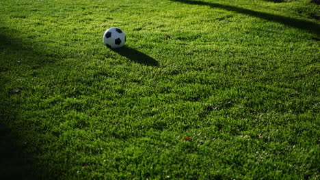 a female soccer player kicking a football to her teammate on a grass sport field