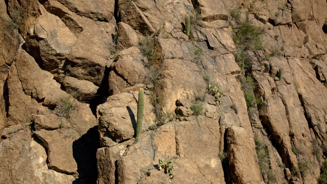 drone disparado volando alto cerca de pequeños cactus que viven en el borde de una montaña