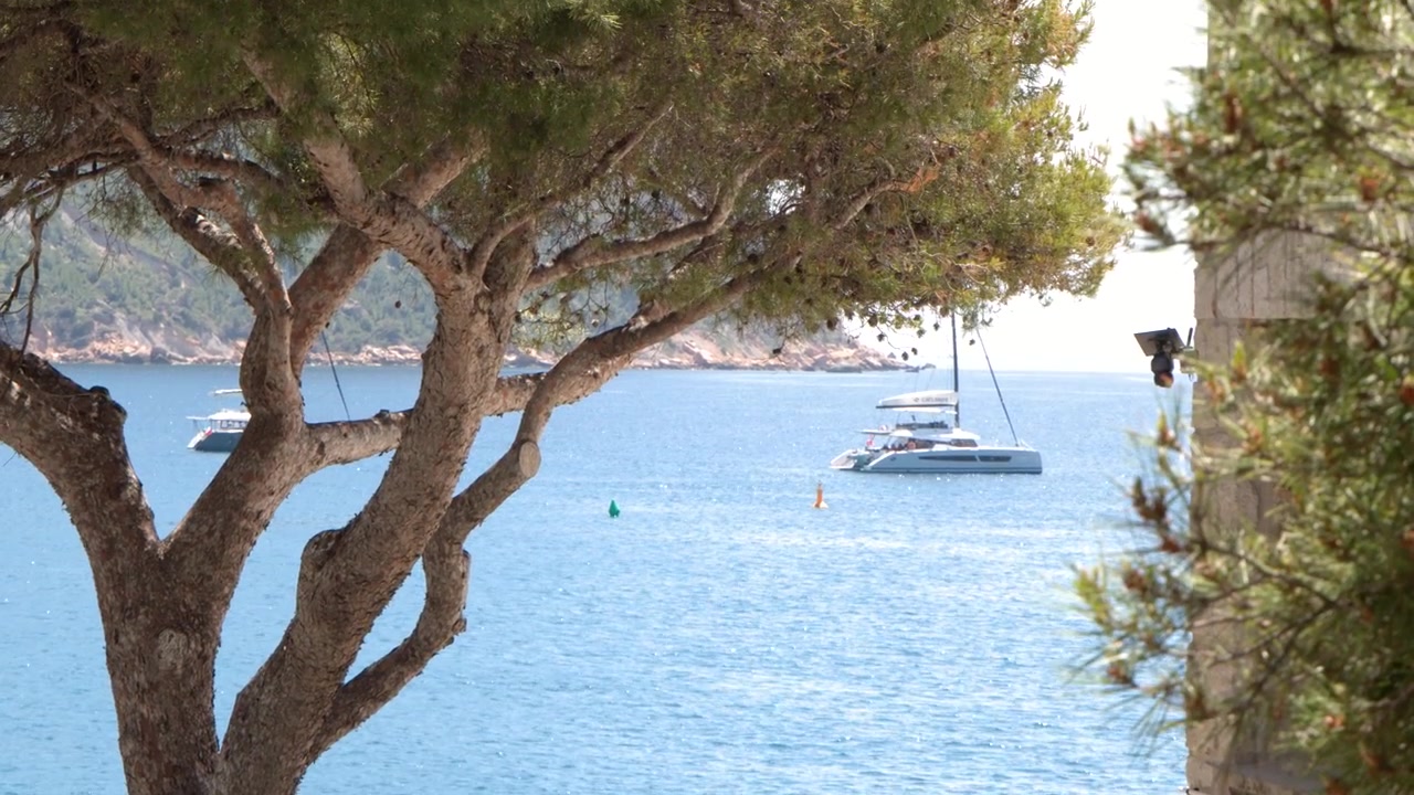 Inquadratura fissa di un catamarano bianco in acque azzurre, vista attraverso i rami di pini marittimi.