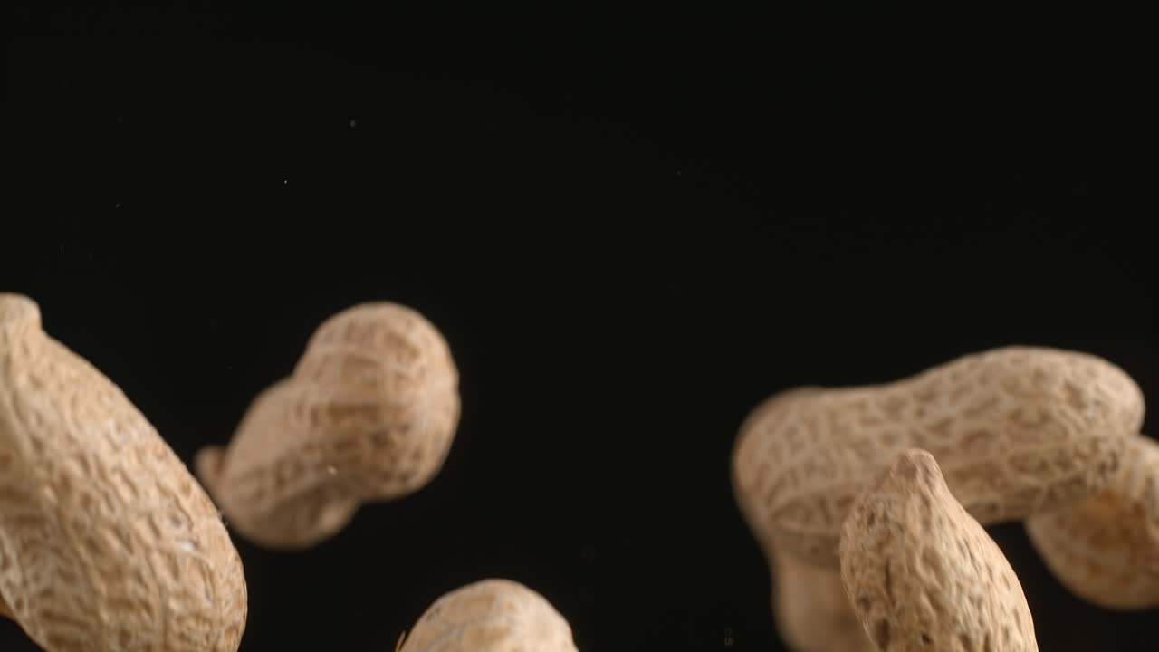 Peanuts In Shells Flying On The Black Background In Macro And Slow Motion
