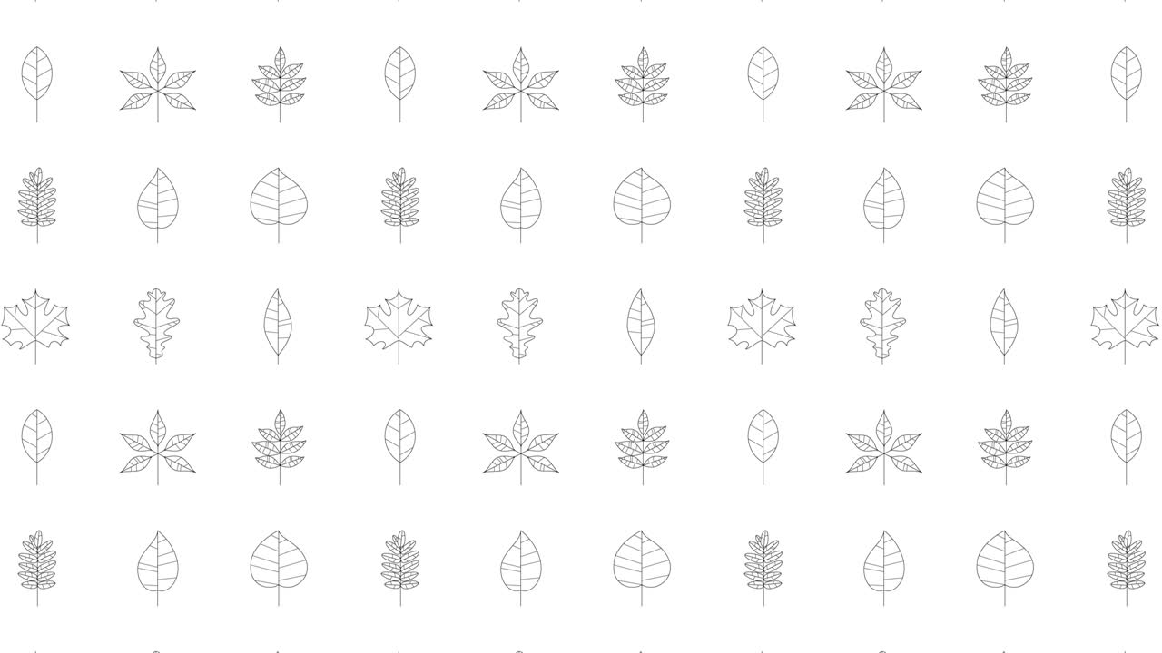 Black thin line icons of a random tree leaves on a white background. Seamless loop motion graphic pattern with animated leaves in geometric grid