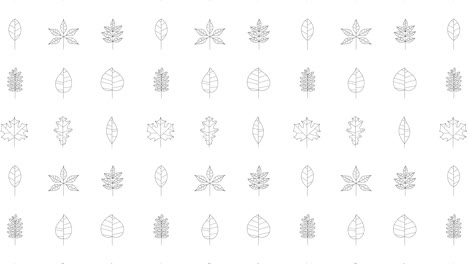 black thin line icons of a random tree leaves on a white background. seamless loop motion graphic pattern with animated leaves in geometric grid