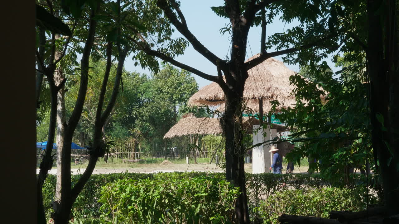 Elephant Sanctuary in a Tropical Park