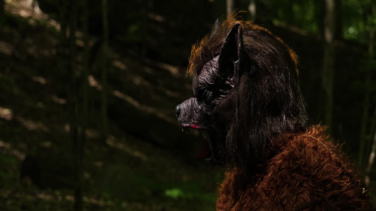 Dogman Werewolf, cryptid walks in the woods during the day