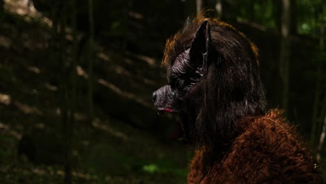 Dogman Werewolf, cryptid walks in the woods during the day