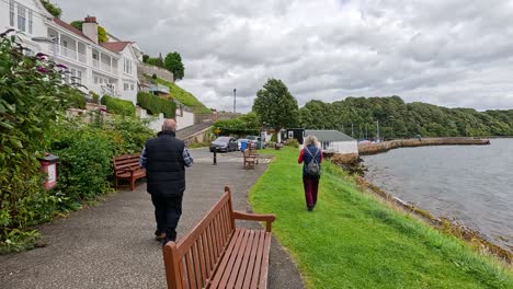 a peaceful walk along the scenic waterfront