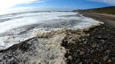 algae foam in storm on the beach, sandy beach with waves, north sea, jütland, sondervig, denmark, 4k