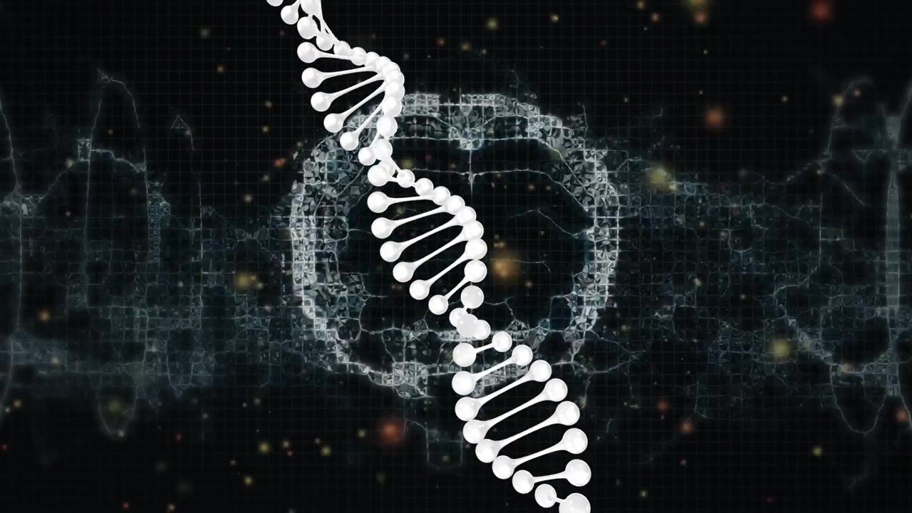 All'avvio, un'elica di DNA ruota e ondeggia sopra una forma d'onda cerebrale a wireframe pulsante, mostrando un collegamento neurale.