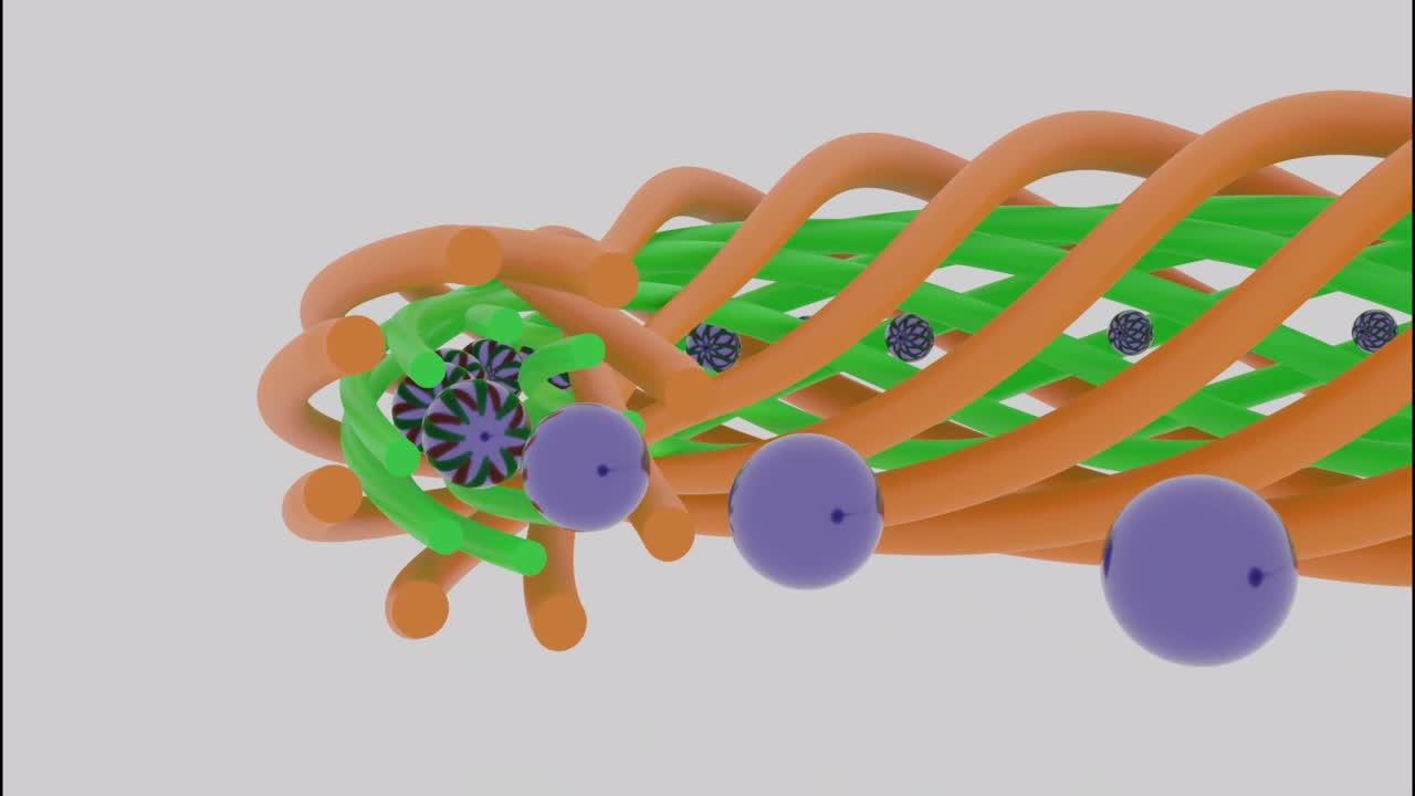 tubos retorcidos abstractos coloridos que consumen pequeñas esferas aisladas en un fondo blanco, bucle sin costuras. diseño. movimiento de forma colorida inusual