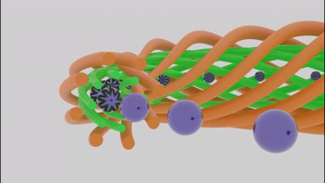 Abstract colorful twisted tubes consuming small spheres isolated on a white background, seamless loop. Design. Moving unusual colorful shape