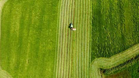 Traktor,-Der-Grünes-Feldgras-In-Geraden-Reihen-Schneidet,-Overhead-Überführung