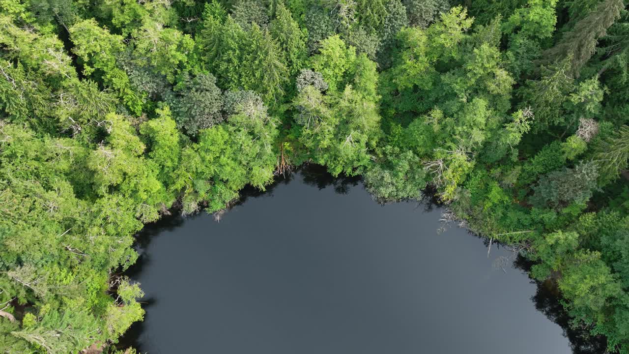 향기를 똑바로 내려다보는 항공 샷