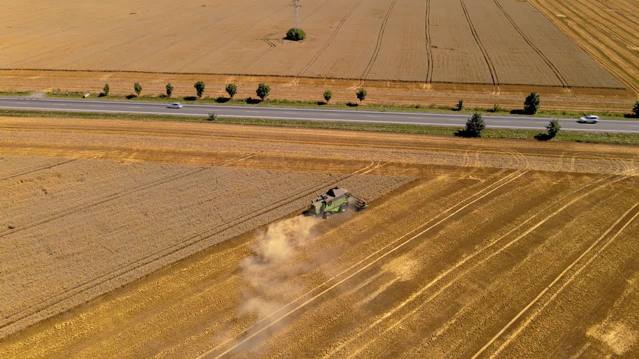 Combine Harvester spraying out dust from harvesting yellow grain in field, drone