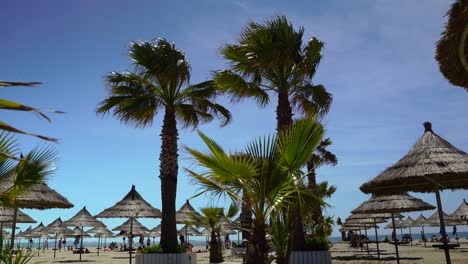 Paradise-resort-with-sandy-beach-by-sea-and-straw-umbrellas-surrounded-by-palm-trees