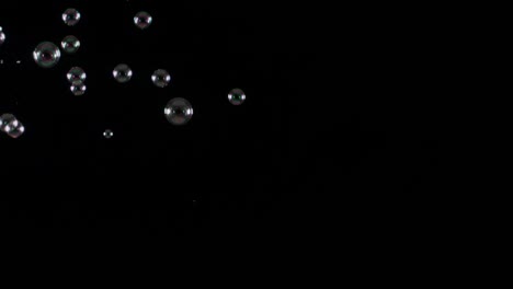 soup bubbles isolated on black background