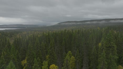 Drone-aerial-footage-forest,-misty-and-a-lake