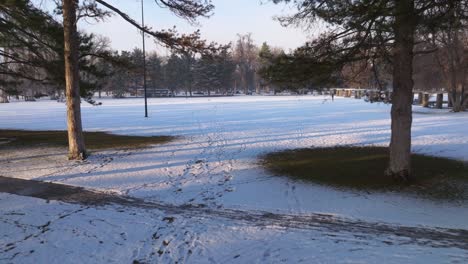 Drone-dolly-through-trees-in-winter,-park-strewn-with-footstep-tracks-on-white-blanket-of-snow