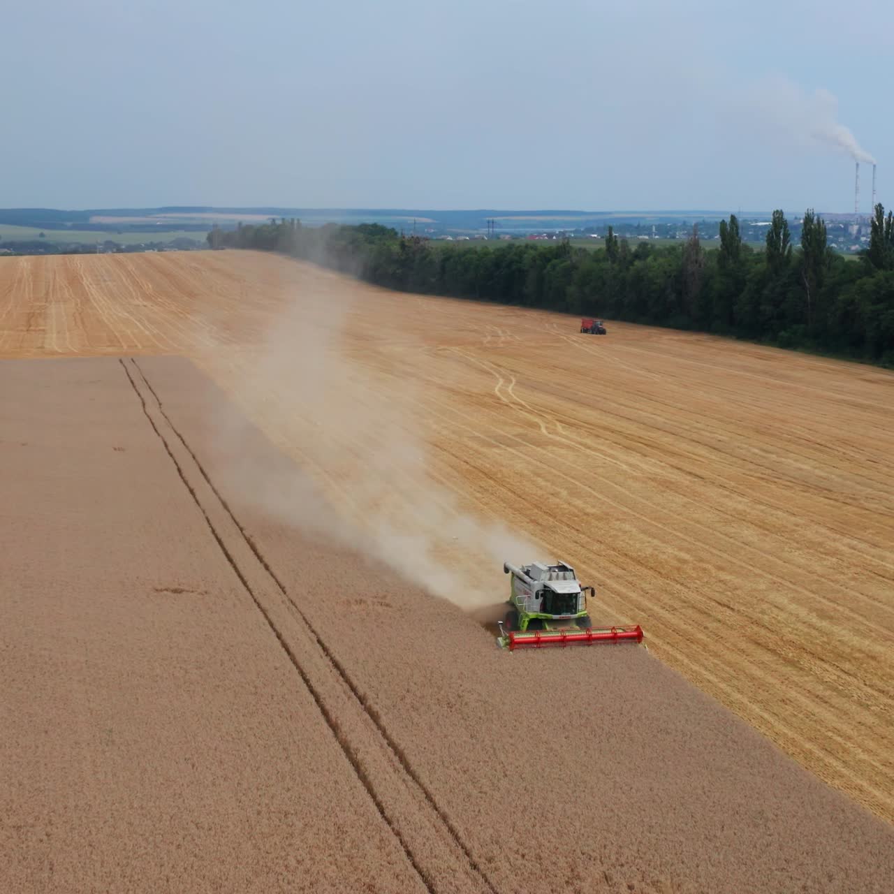 Beautiful yellow plantation with harvesters working on it. Most part of field is already cut. Green trees and farmlands at the backdrop