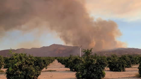 Driving-through-a-peaceful-farm-with-a-huge-fire-behind-in-the-mountains-during-golden-hour