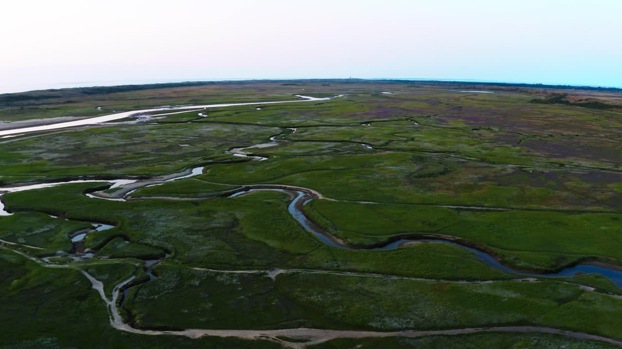 흐린 날에 지류와 지류와 함께 빽빽한 녹색 초목에 구불구불한 정글 강의 아름다운 조감도