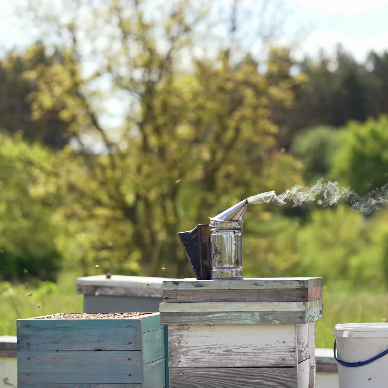 Honey Production And Beekeeping. Bee apiary with group of hives is located on nature
