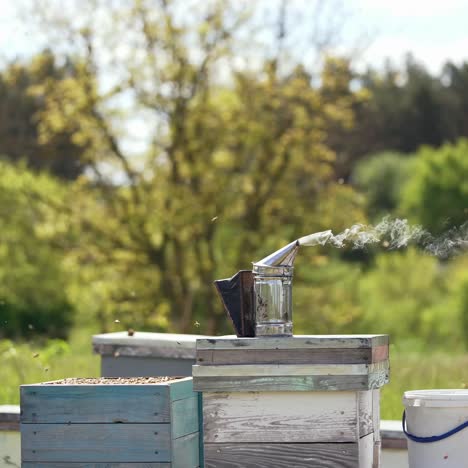honey production and beekeeping. bee apiary with group of hives is located on nature