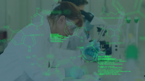 Processing-data-and-chemical-formulas-animation-over-scientists-working-in-laboratory