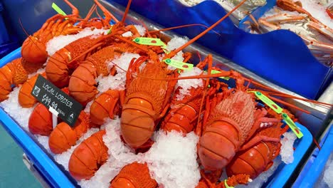 hand choosing lobsters from ice display