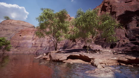 panoramic view of colorado river