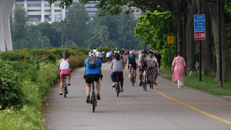 people cycling and walking in a park