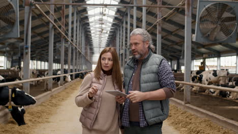 man and woman walking through dairy farm