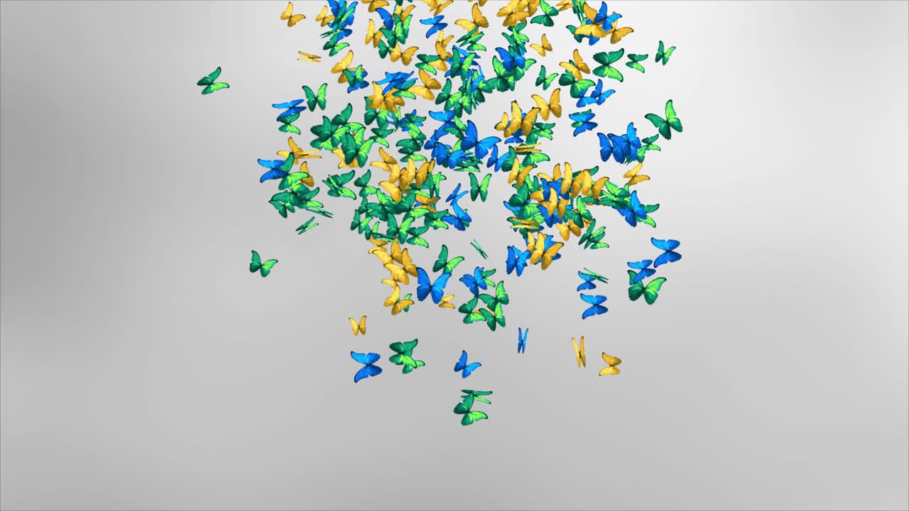 Loop 4K Danza di uno sciame di farfalle, volo al rallentatore, vista macro su sfondo nero