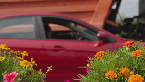 Rotes-Auto-Und-Vorbeifahrender-LKW-Hinter-Blumen-Mit-Grünen-Blättern