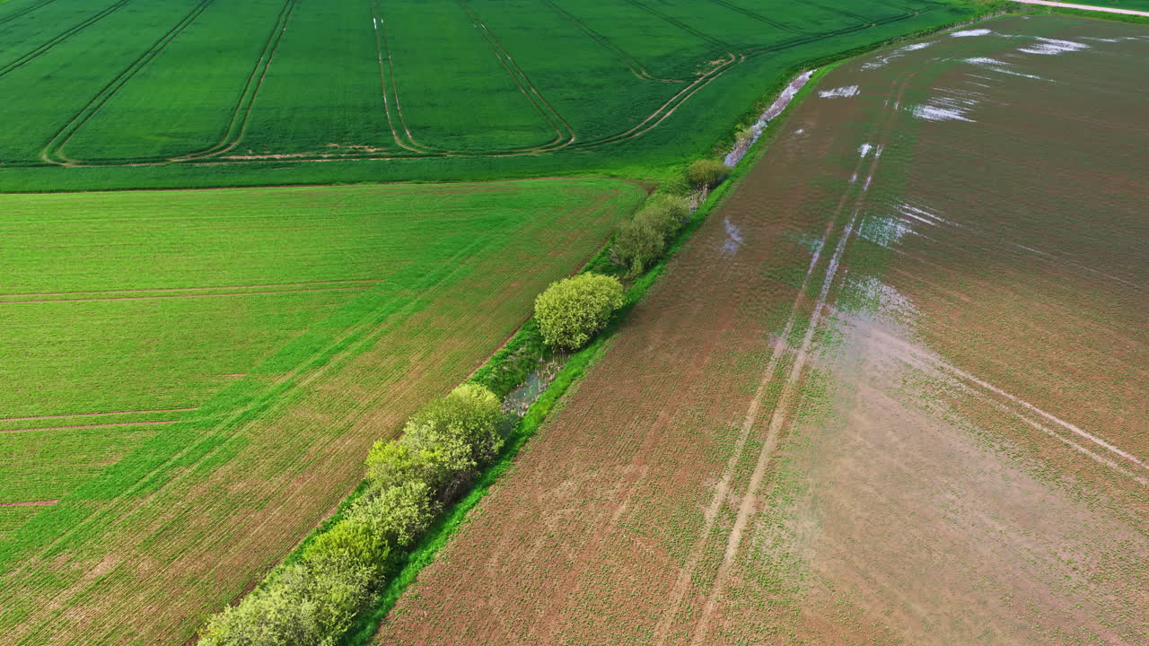 Lush green farmland split by trees and wet field from aerial springtime view