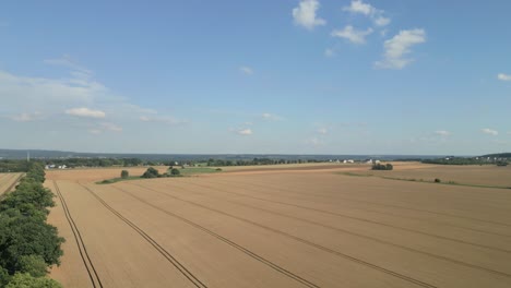 Herrliche-Aussicht-Auf-Goldene-Getreidefelder-In-Der-Landschaft-Polens