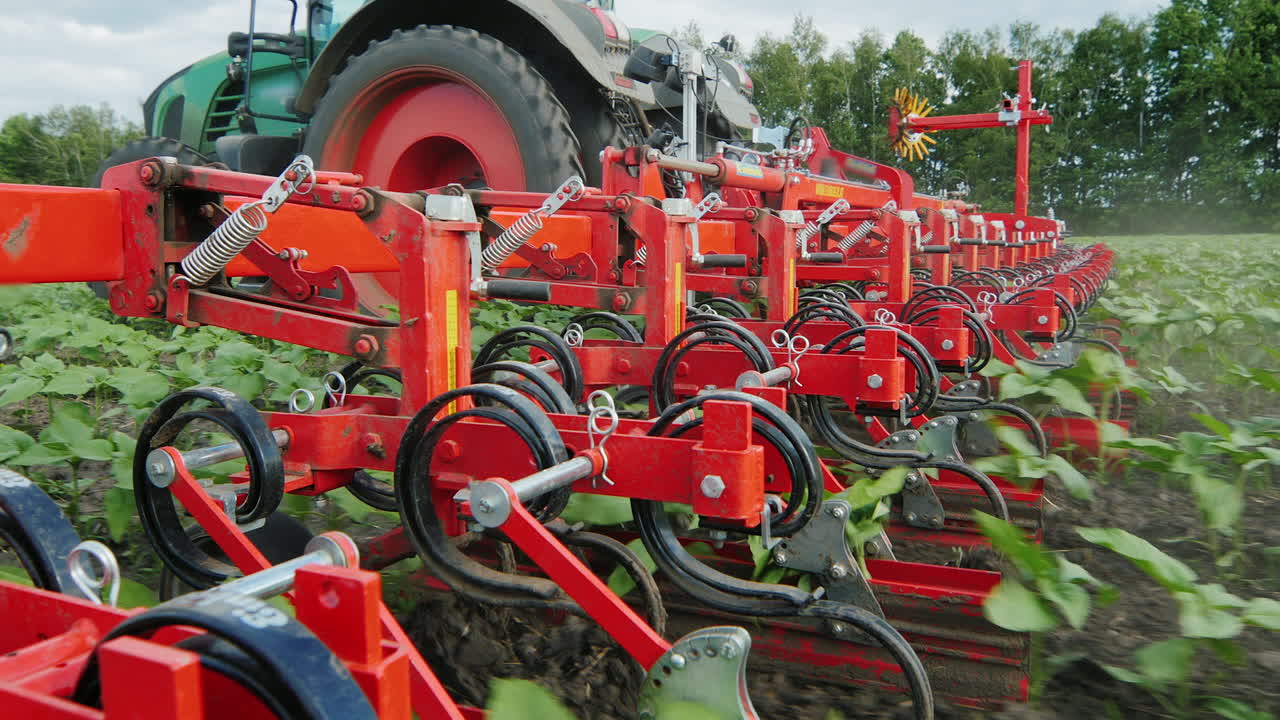 tractor pops girasol brotes agricultura orgánica