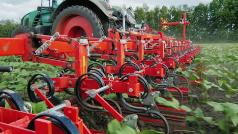 Tractor-Aparece-Germinado-De-Girasol-Agricultura-Orgánica