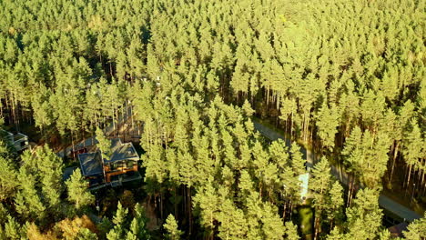 Der-Wald-Als-Zuhause,-Lufttour-Durch-Behausungen-Zwischen-Den-Bäumen