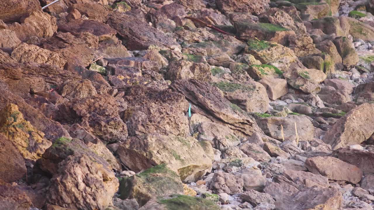 Closeup of the rocks bathed by the first sun rays of the day near Cascais beach