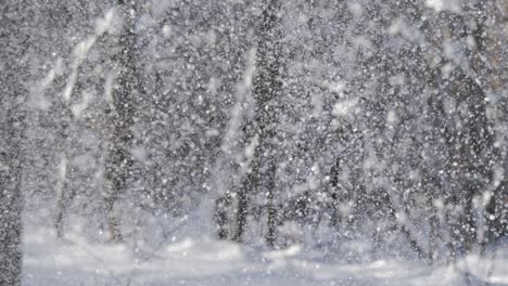 paisaje de invierno durante las nevadas. fondo abstracto de navidad de invierno en súper cámara lenta.