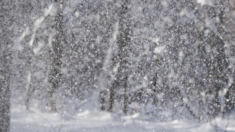 winter landscape during snowfall. winter christmas abstract background on super slow motion.