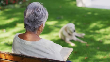 Video-of-back-view-of-biracial-senior-woman-reading,-sitting-on-bench-in-garden-with-dog