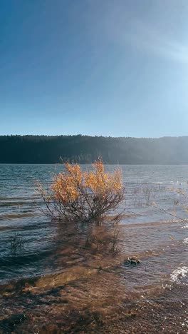 autumn lakeside scene