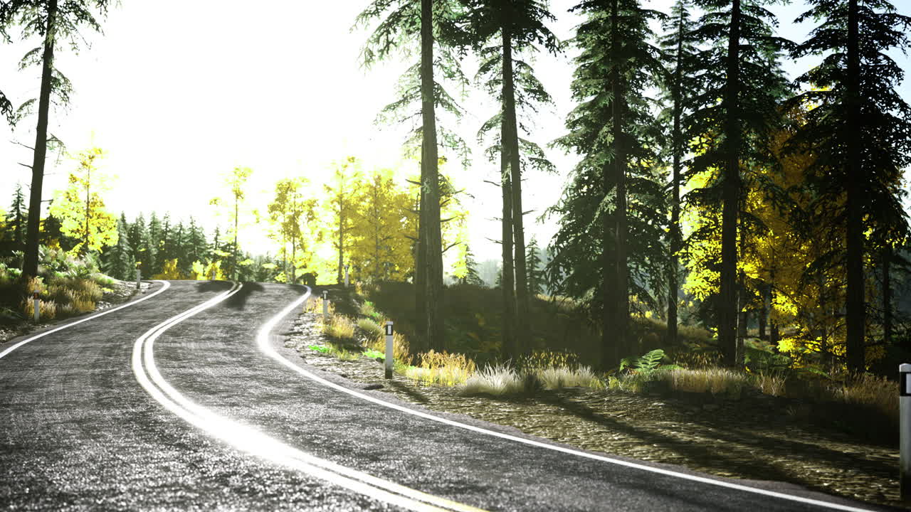 Winding road through vibrant autumn forest in bright daylight