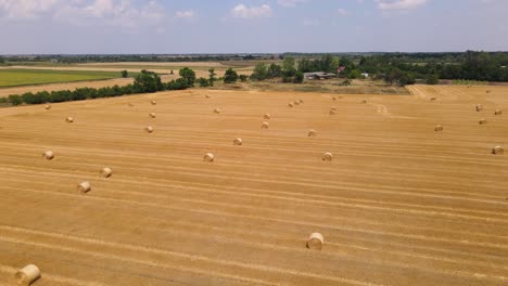 agricultural landscape with round straw bales on harvested hay field