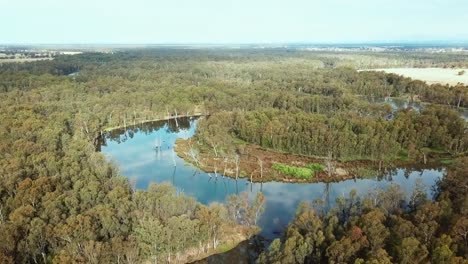 Aerial-view-looking-upstream-along-of-the-Ovens-River-just-before-it-meets-the-Murray-River-in-north-eastern-Victoria,-Australia
