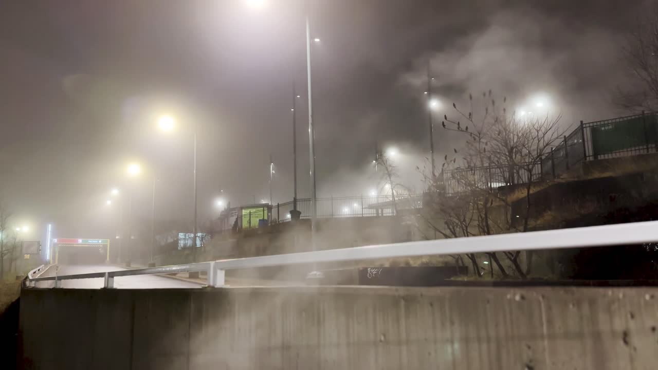 저녁에 가로등이 있는 안개 낀 도시의 거리 풍경