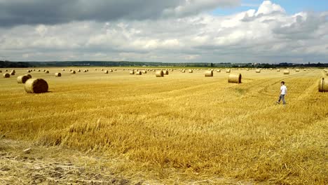 field with straw bale